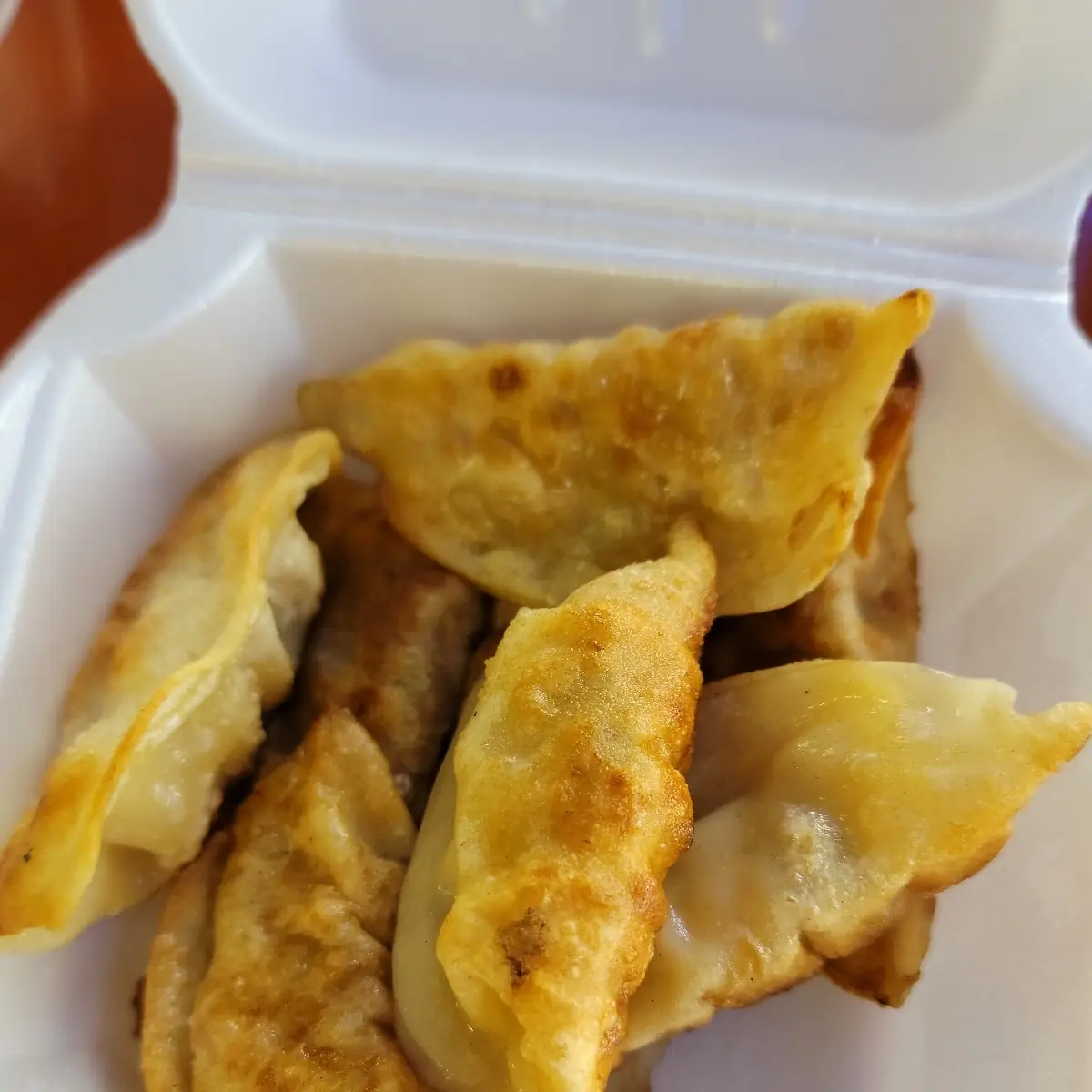 boiled or fried dumplings 8 鍋貼或水餃